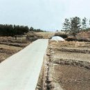 창원 다호리고분군 이미지