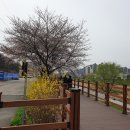 용당세월교 이미지