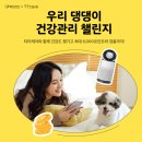 펫 프렌즈 이미지