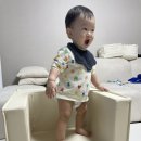 대룡산약국 이미지