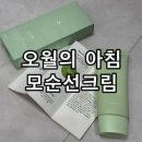 오월의 아침 모순선크림 후기 잘지워지는 혼합자차 피부과 선크림 추천
