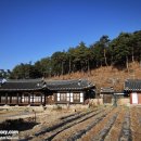 닭실마을 이미지