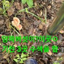 그림의떡 - 세종특별자치시 장기초교길 10 | 그림의떡