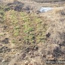 눌왕리농장 이미지