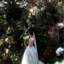 오뉴와 | W6. 본식 스냅 오뉴먼트 계약 후기 (feat. 짝꿍할인)