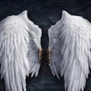 옷이날개 이미지