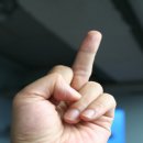 다섯손가락 네이버블로그