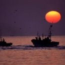 해가뜨다 이미지