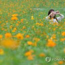 코스모스모텔 이미지