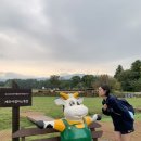 소우목장 | [아침미소목장] 제주 이색 체험 추천