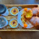 온실속베니 이미지