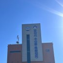 (주)군산종합모터스 | 군산 싱싱한 해산물, 홍어 판매장[군산 수산물 종합...주는 삭히지 않은 생 홍어, 소라, 오징어 구입 후기