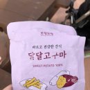 말랑말랭 이미지