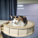 알파플러스PC방 이미지