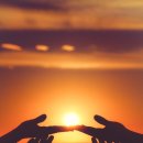 행복한공인중개사사무소원룸전문 이미지