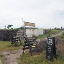 고구마 펙토리스토리 이미지