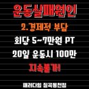 N 피티짐 이미지