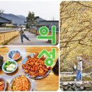사촌리 가로숲 공중화장실 | 경북 의성 가볼만한곳 3월 대구 근교 여행 의성산수유축제 사촌전통마을 등