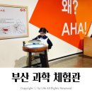 조각갤러리 | 부산과학체험관 초등 아이와 함께 다녀온 후기 예약 및 주차 팁