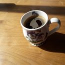 바움하우스 이미지