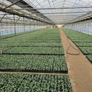 비산3동-3 이미지