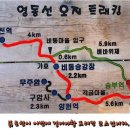 2017년5월6-7일1박2일민들레정기특별토왕성폭포`체르마트길`산행 이미지