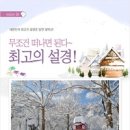 스타호텔 이미지