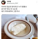 천상의 맛 이미지