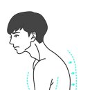 리바디핏