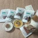 충청대로 | 청주애견간식 강아지수제간식 노령견관리 <윔스> 내돈내산후기