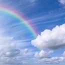 보답 행정사 이미지