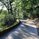 말티가는길 이미지