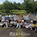 제주까리따스유치원