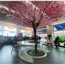 명품초밥 이미지