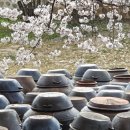 대흥농장2 이미지