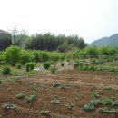 한방농장 이미지