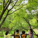 미래샘유치원 이미지