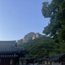 남창계곡 주차장 일대 | 2025 애기단풍 축제 장성 백양사 단풍명소 단풍놀이 절정 시기 주차