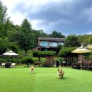 펫타리움 청담점 이미지