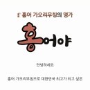 조은영풍