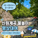신원대로 | 신원계곡 물놀이 평상대여 내돈내산 후기, 2026년 8월 현재 수심 솔직후기