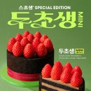 투썸플레이스 신상 케이크 '두초생' 먹어보다!