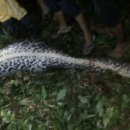 성인농장 이미지