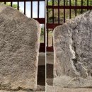 영천 청제 이미지