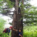 하랑채산악회 설악 서북능선(귀때기청봉,대승령,십이선녀탕) 산행일기(2014.06.22) 이미지