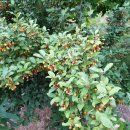 장성토박이공인중개사사무소 이미지