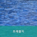 트래블지 이미지