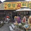 중앙꽃화원 이미지