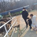 정말농장 티스토리