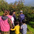 평촌농장 이미지